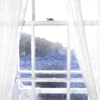 
^Long pavilion flute…雪落梅枝