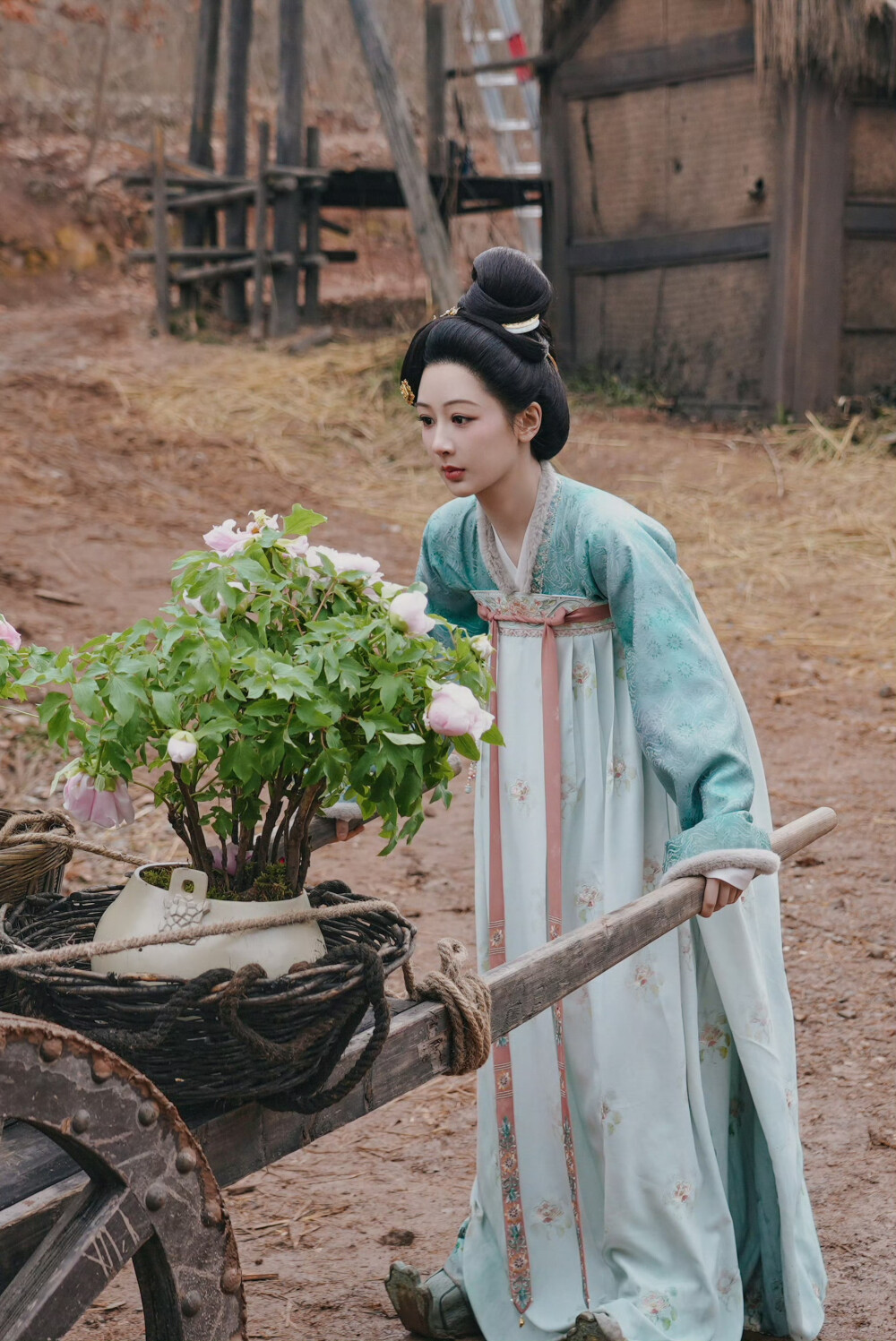 杨紫