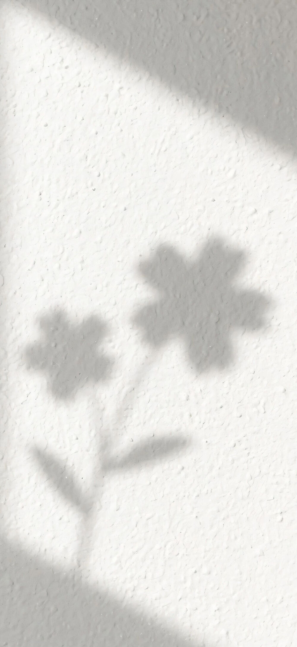 壁纸