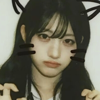 领居家的猫 喵喵