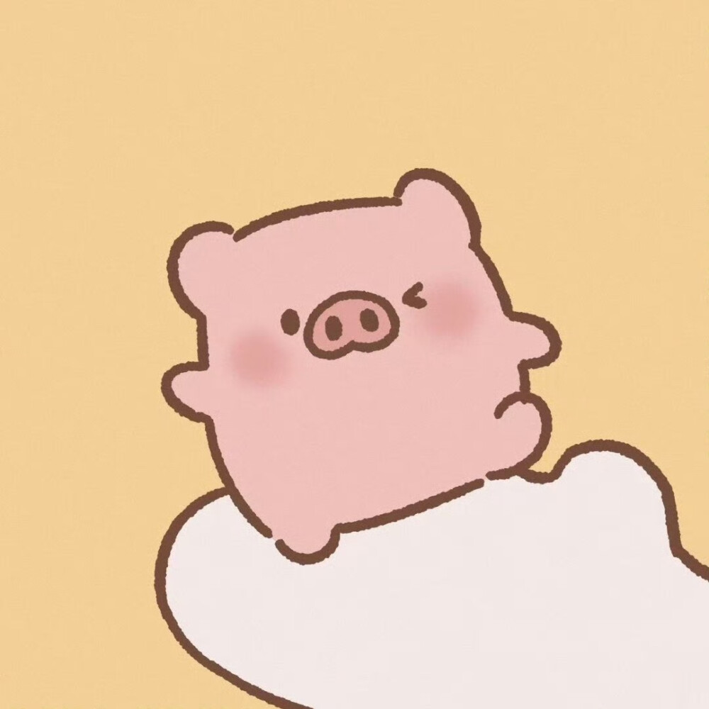 MOMO兔
