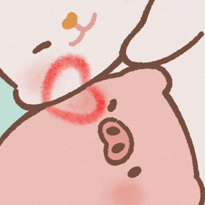 MOMO兔