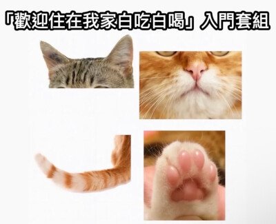 欢迎回家