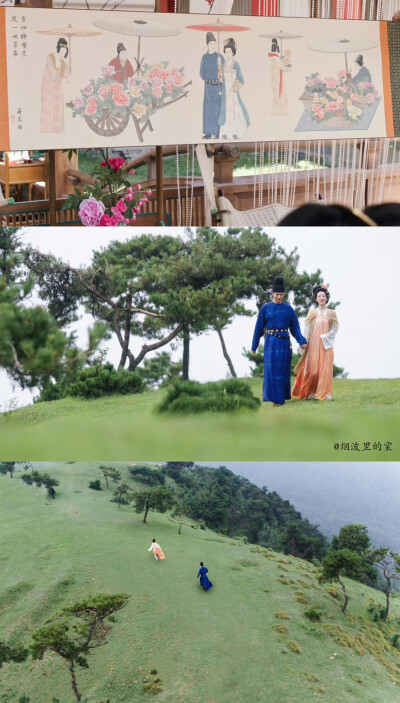 锦绣芳华