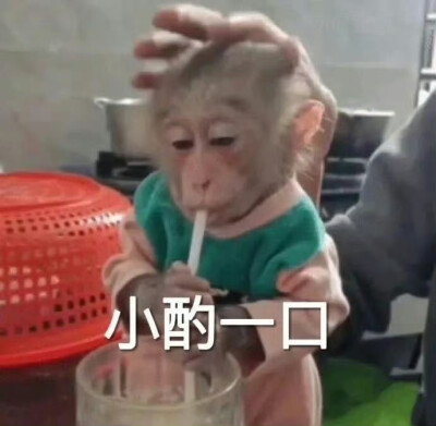 一组