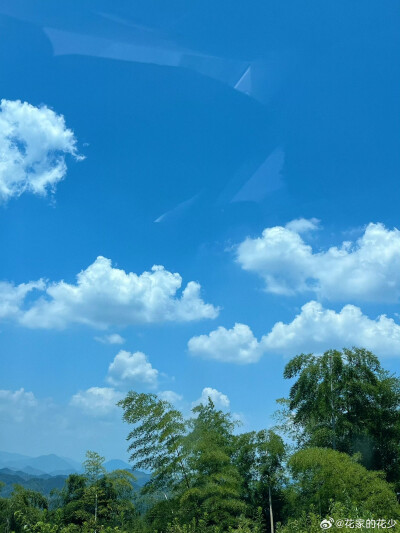 风景