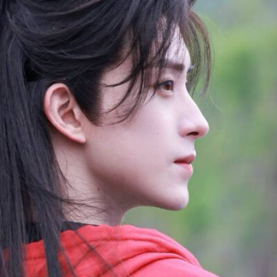 谁够我将满心草色枉费