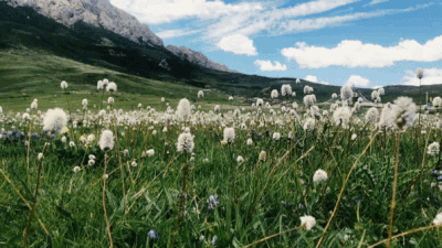 你的出现为我带来了永恒的春，于是我的爱与灵魂亘古长青。