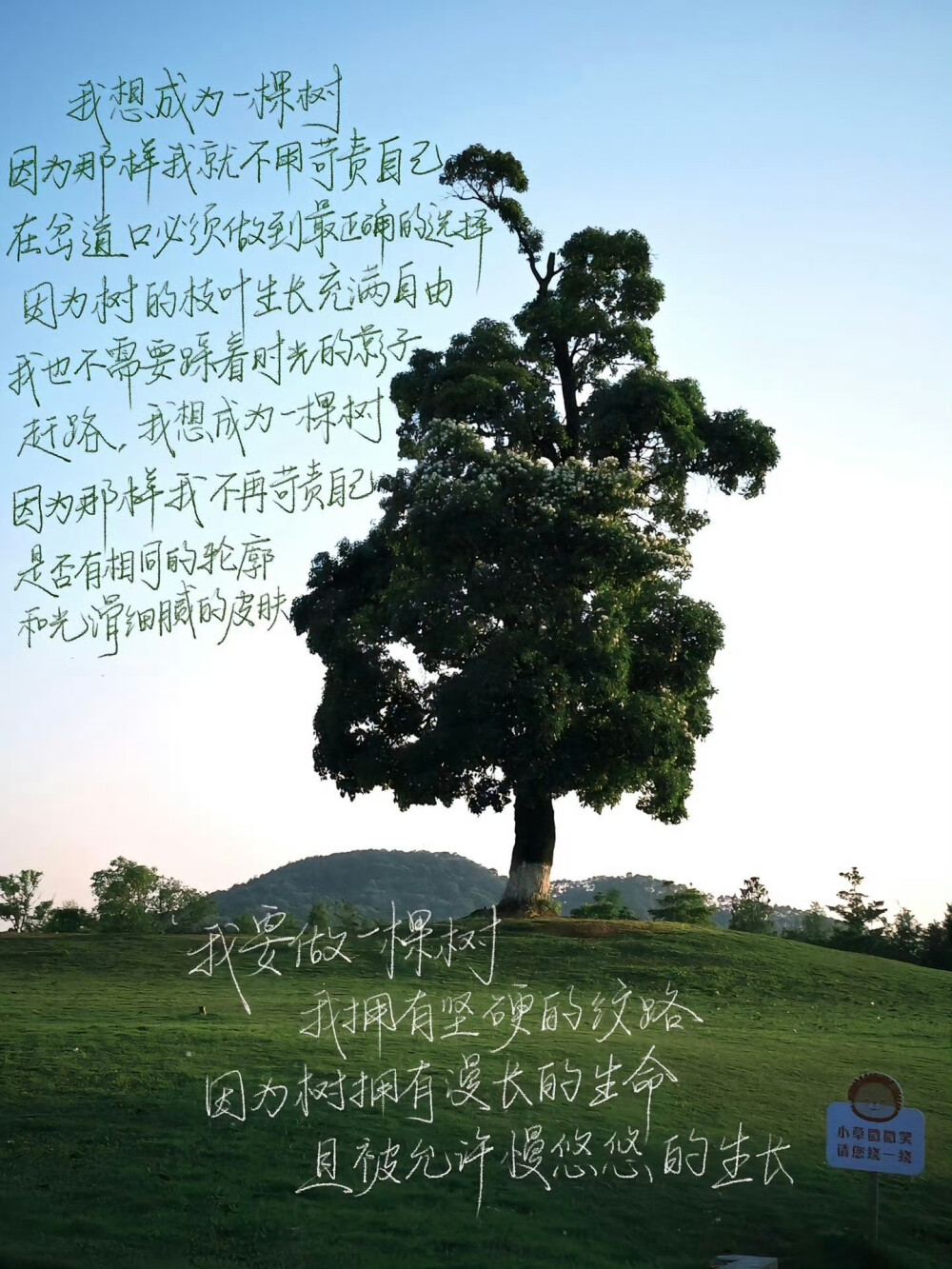 壁纸