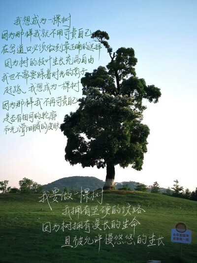 壁纸