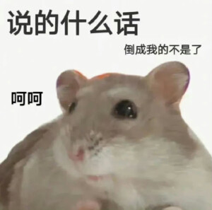 没了