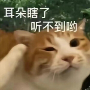 没了