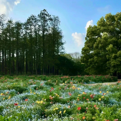 你的出现为我带来了永恒的春，于是我的爱与灵魂亘古长青。