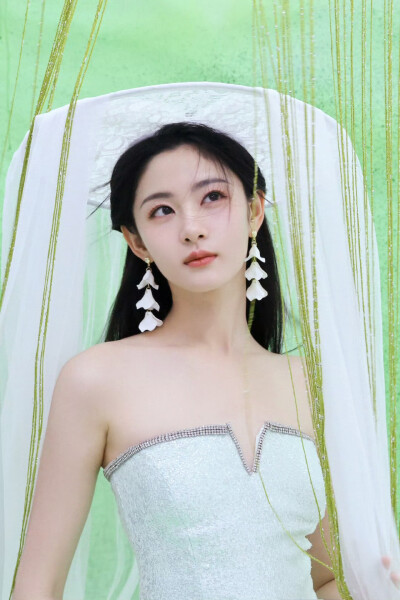 赵晴