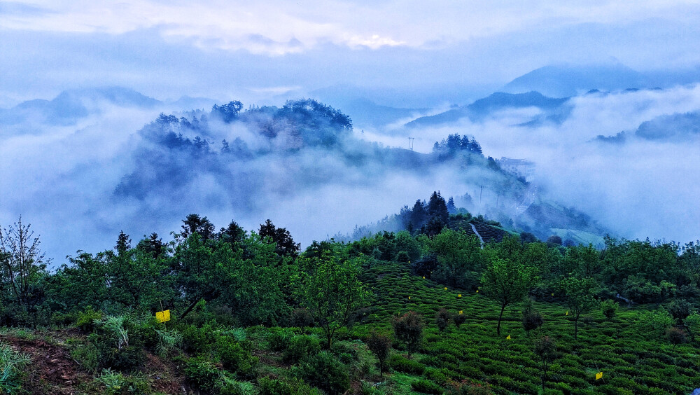 云消雾散：脚踏龙顶观景，远望隐约可视四季海农庄。
