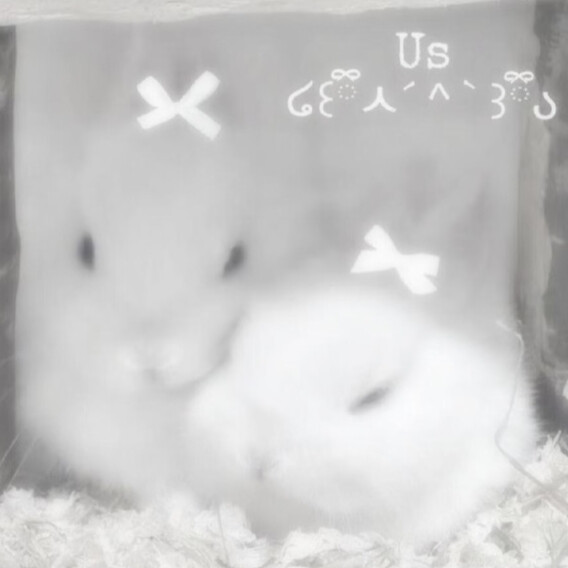 展示猪肝 略