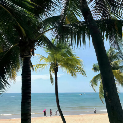 海的背景图 蓝色系背景图