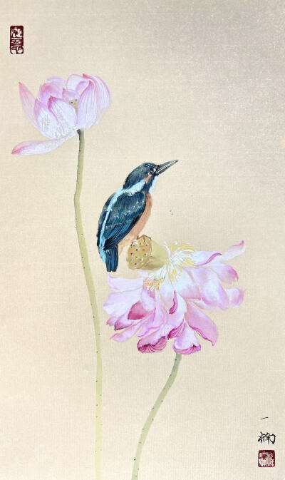 花鸟