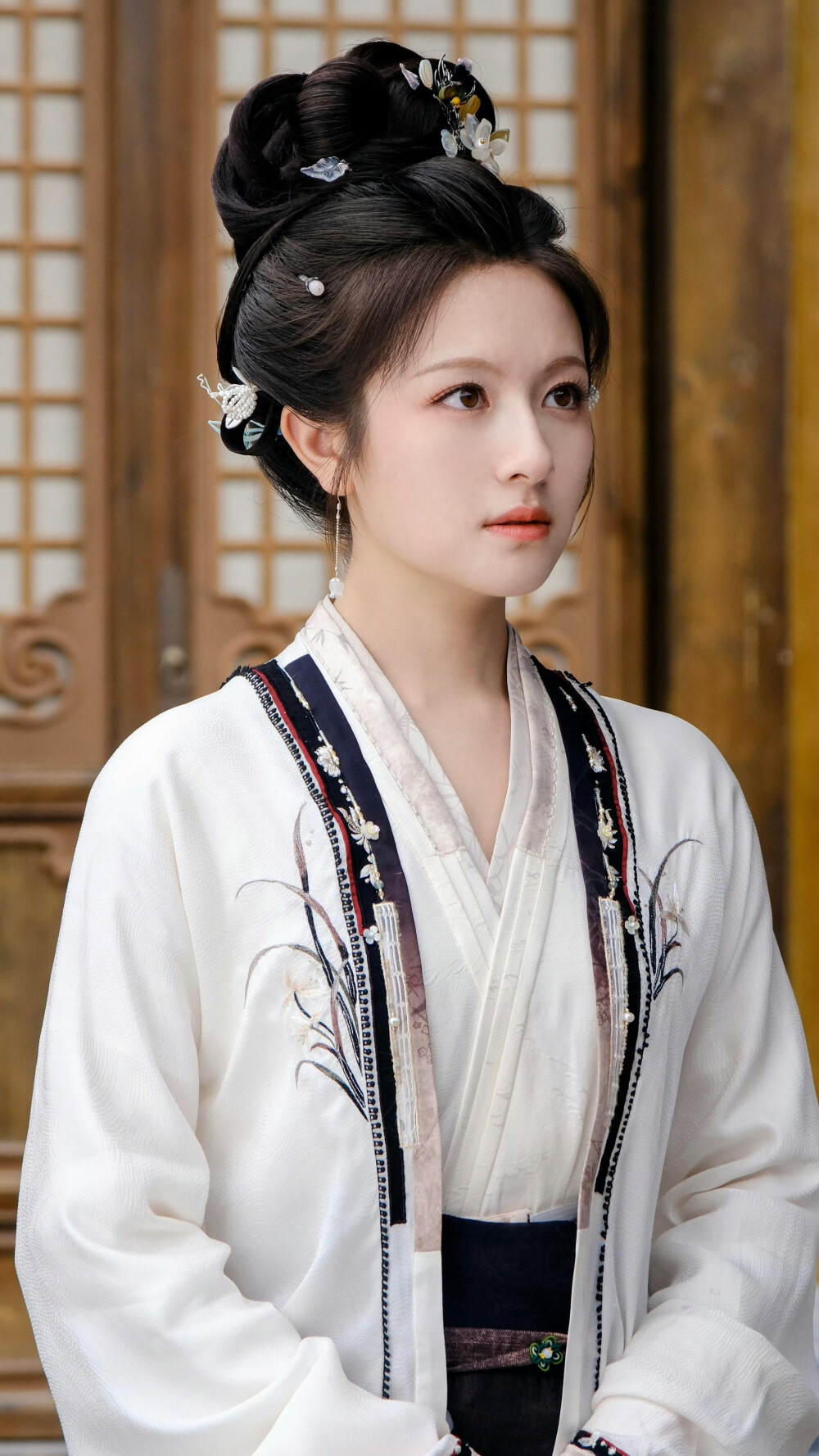 朝雪录 秦莞 李兰迪
