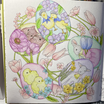 No.58 可爱动物
工具：绿辉