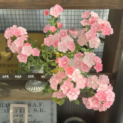 小众背景图