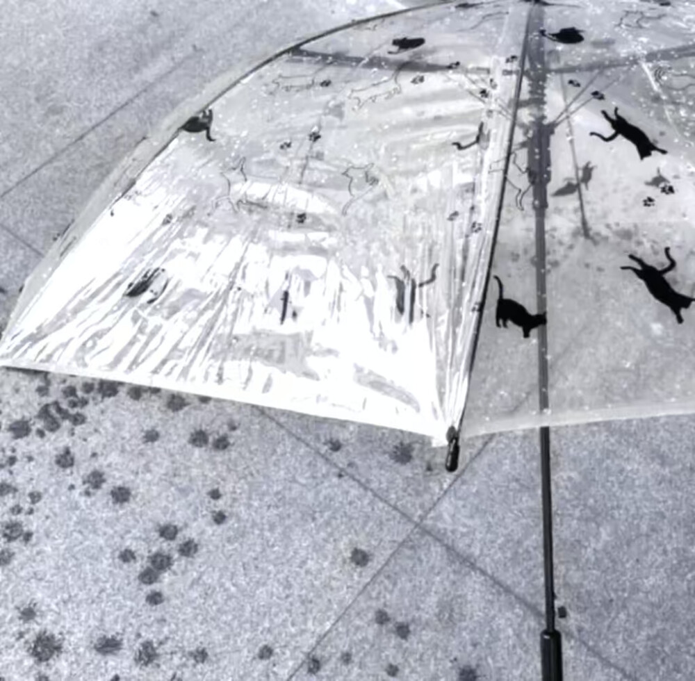 宝宝们谢谢你们支持啊啊啊啊啊亲亲亲