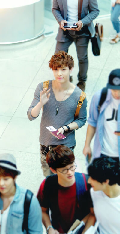 17年的卷毛小羊