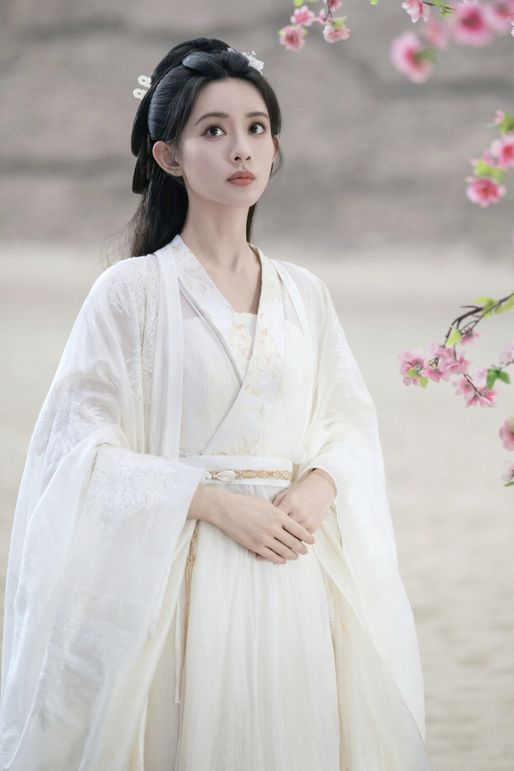 桃花映江山 姜桃花