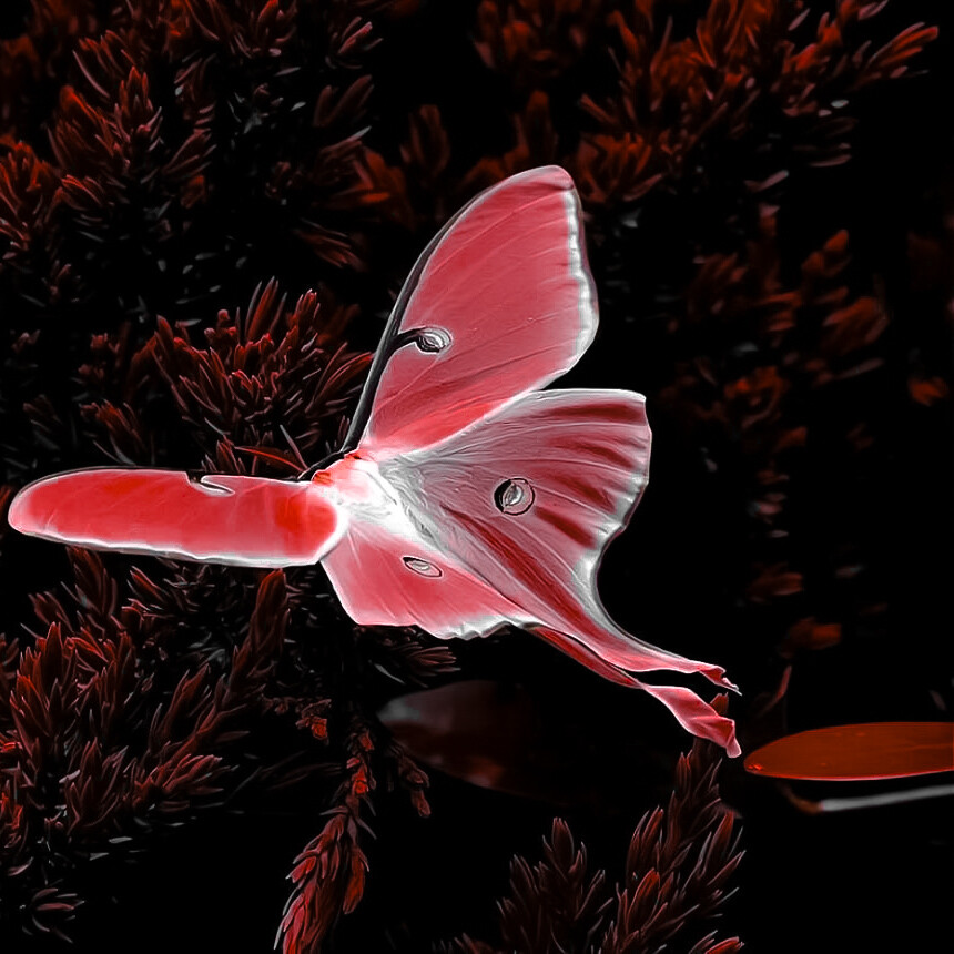 下個下雨天送哒(｡>∀<｡)