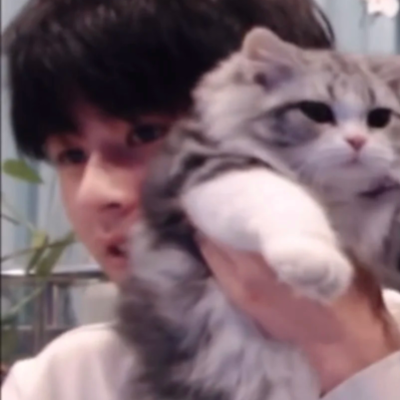 猫猫