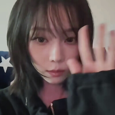 我也不懂猫和她