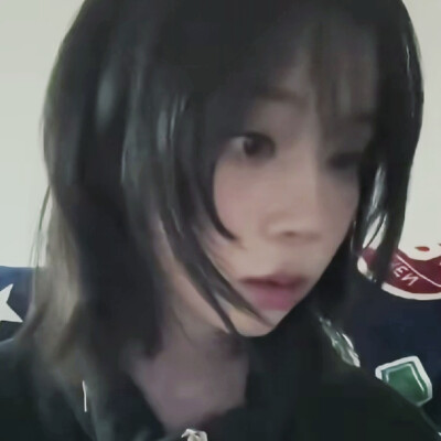 我也不懂猫和她