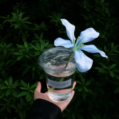 小众背景图
