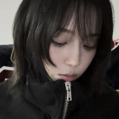 我也不懂猫和她