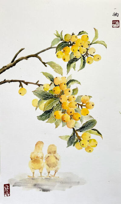 花鸟