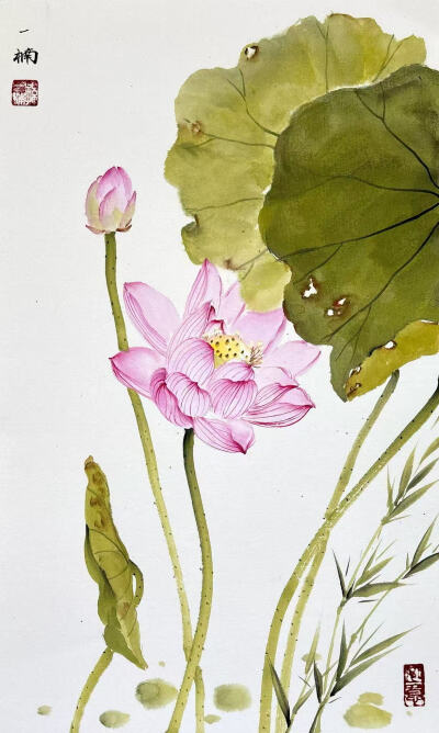 花鸟