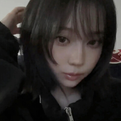 我也不懂猫和她