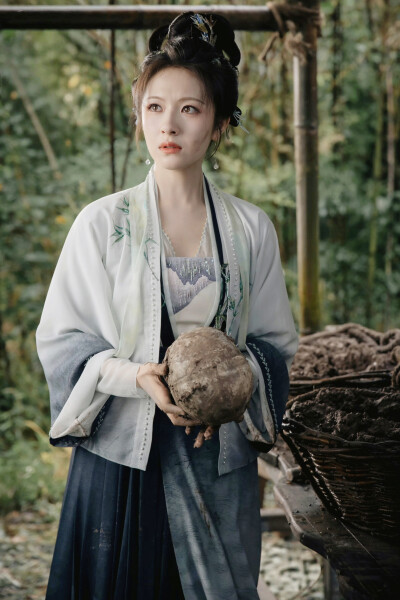 朝雪录 秦莞