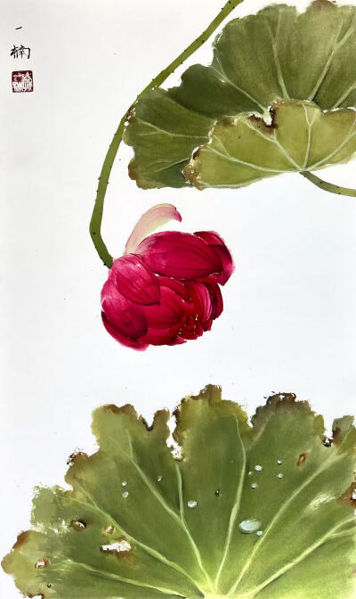 花鸟