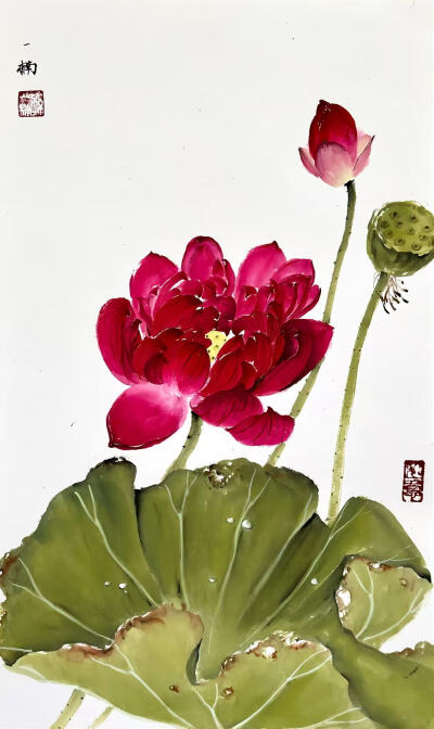花鸟