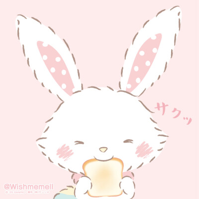 许愿兔