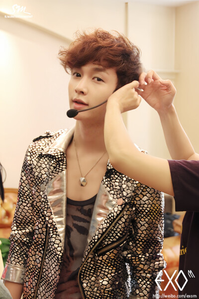 17年的卷毛小羊