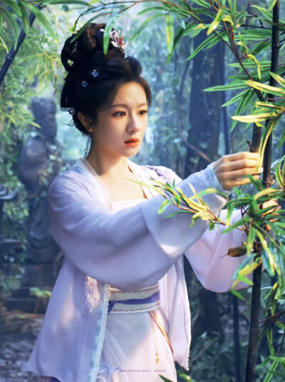 李兰迪·秦莞 朝雪录