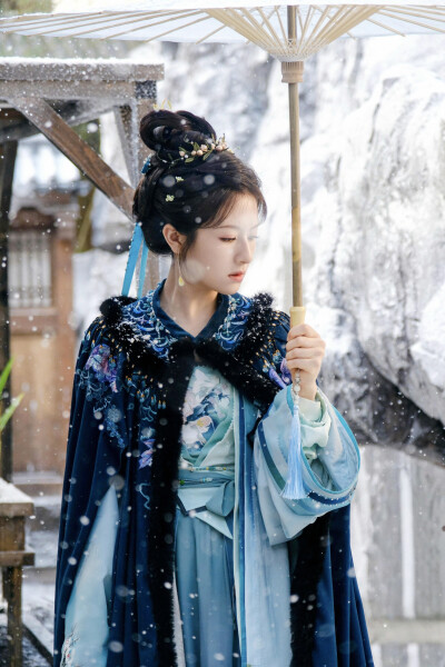 朝雪录 秦莞