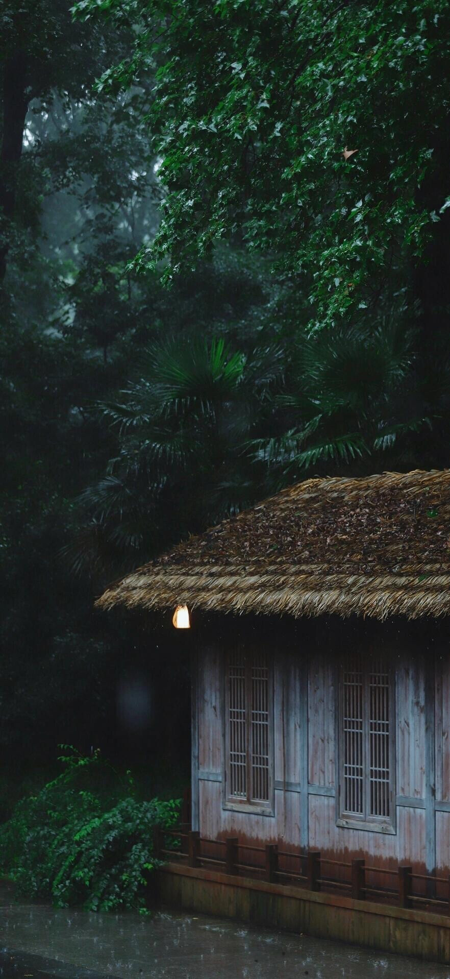 风景