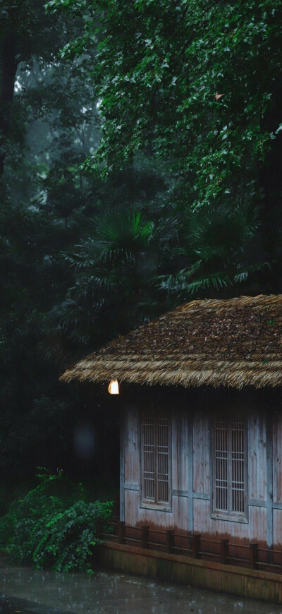 风景