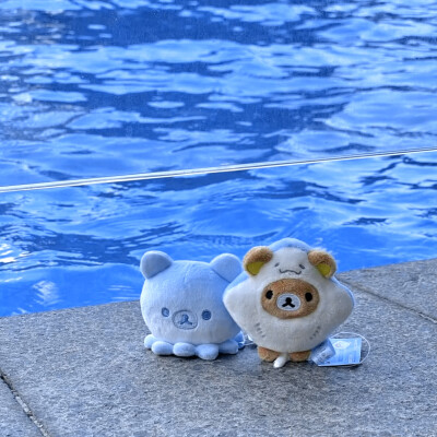 李诗洁你个小猫！