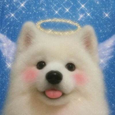 ：豆奶泡泡花