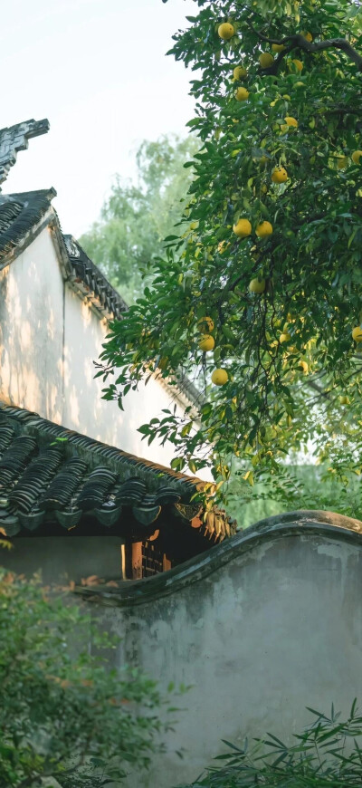 风景