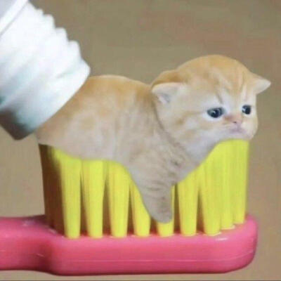 ☆